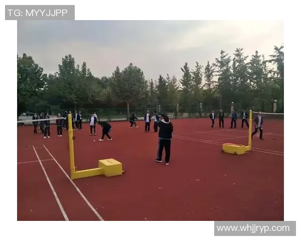专访羽毛球女神刘静揭秘成功背后的努力与坚持之路